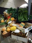 Borough Market 6